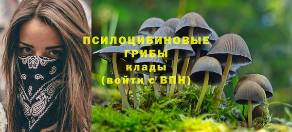 твердый Баксан